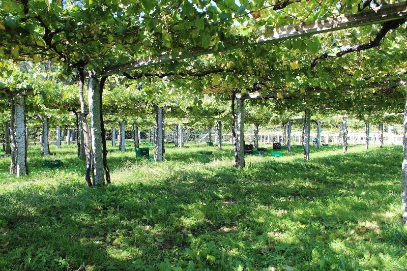 Os Areeiros Turismo Rural & Bodega