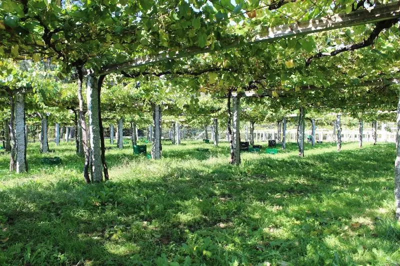 Os Areeiros Turismo Rural & Bodega