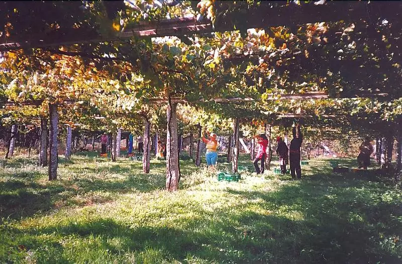 Os Areeiros Turismo Rural & Bodega