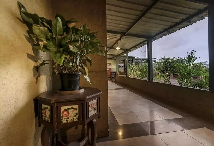 Hôtel Budget Inn Bellevue