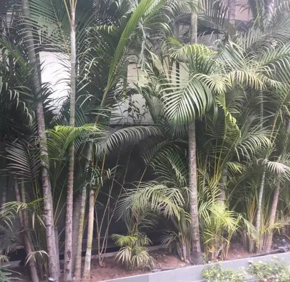 בית מלון כפרי Cozy Inn