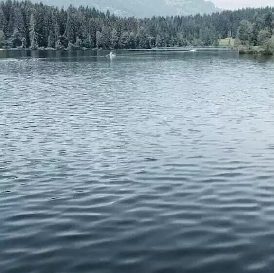 호텔 Gasthof Skirast