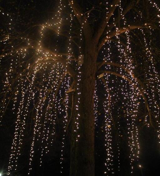 فندق ريفى Old Rectory Hotel, Crostwick