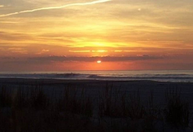 فندق Carisbrooke Inn Bed & Breakfast