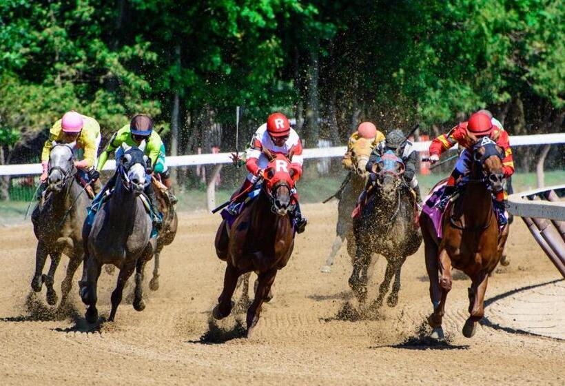 فندق على الطريق Bluebird Spa City Motor Lodge