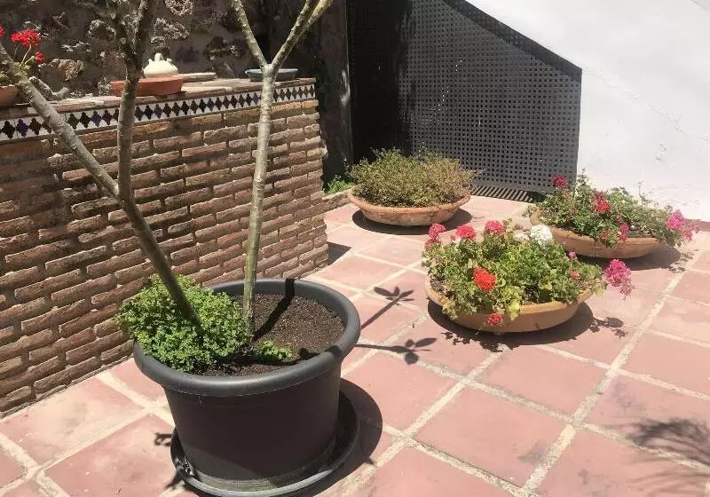 Apartamentos Turísticos La Mundial