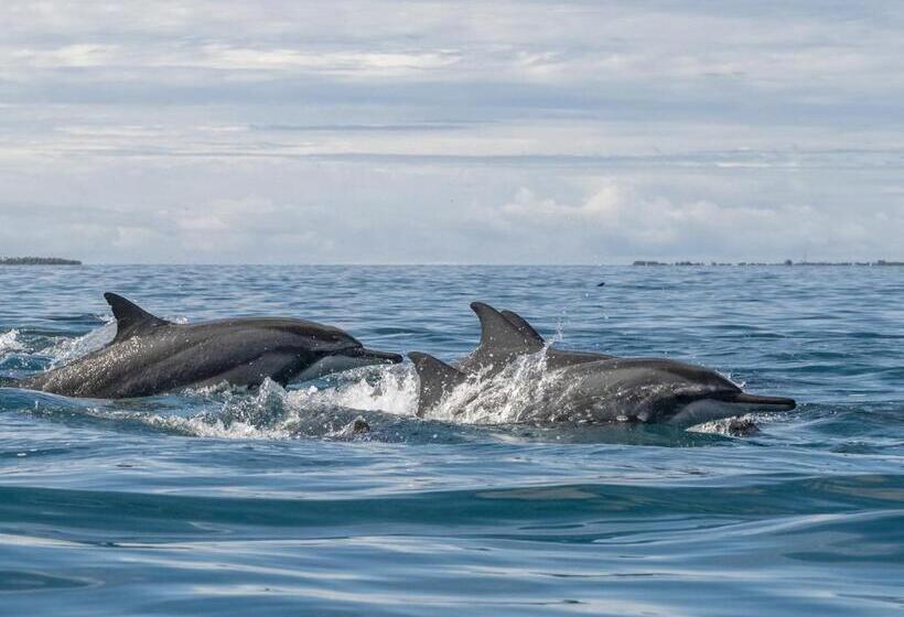 هتل Reethi Beach Resort