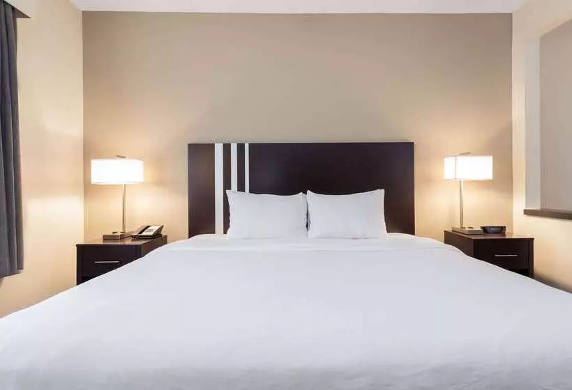 ホテル Wingate By Wyndham Gurnee