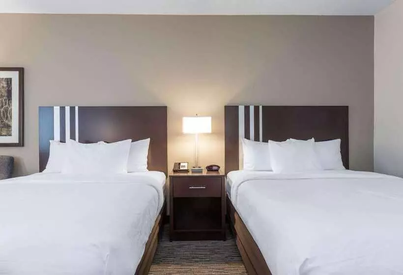 ホテル Wingate By Wyndham Gurnee