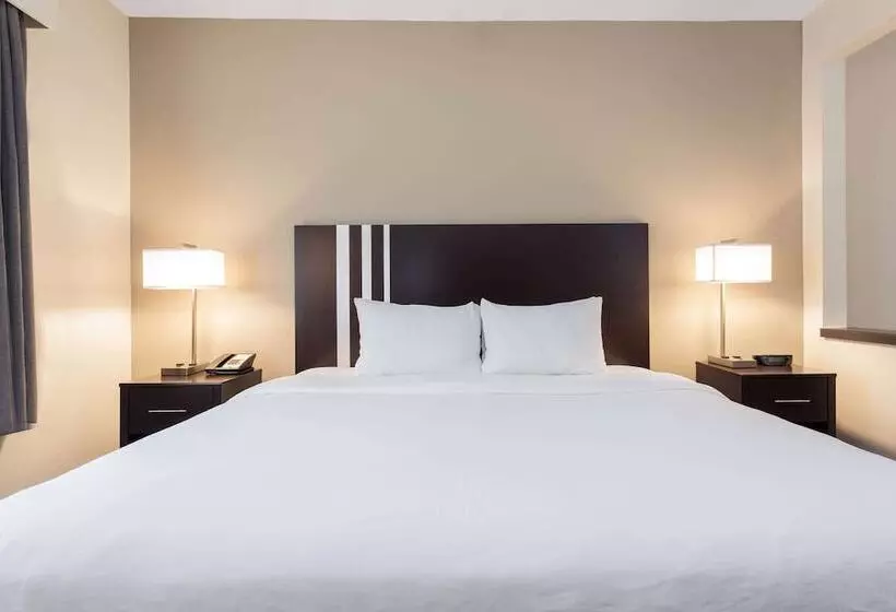 ホテル Wingate By Wyndham Gurnee