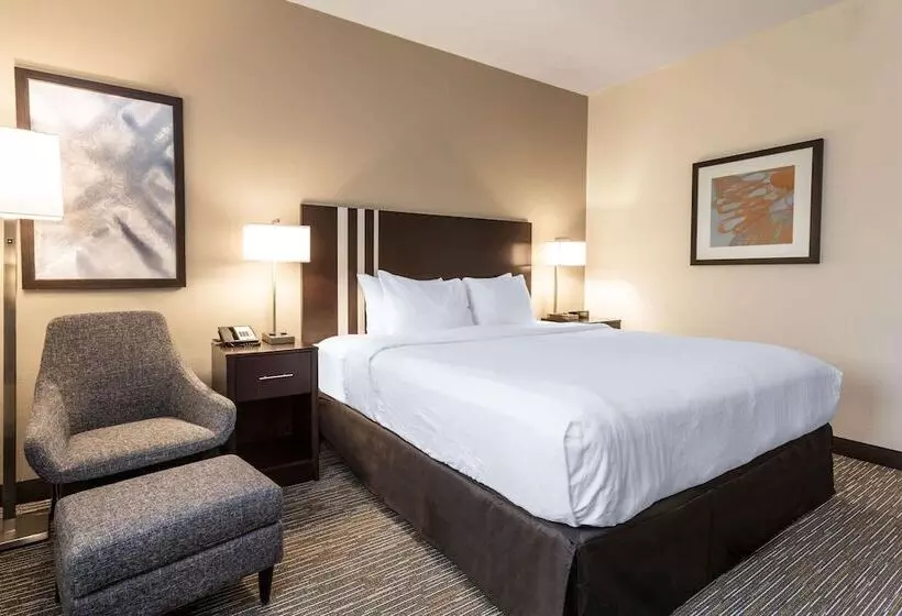 ホテル Wingate By Wyndham Gurnee