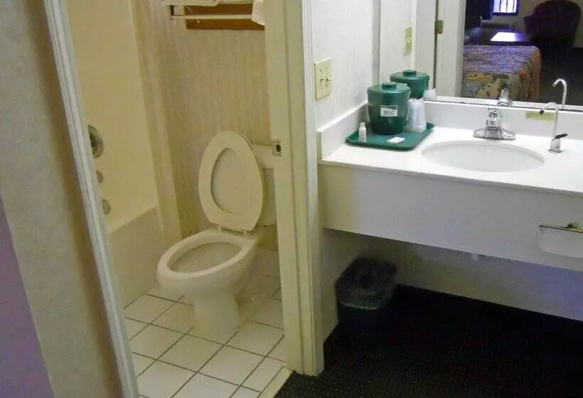 酒店 America S Best Inn & Suites   Decatur