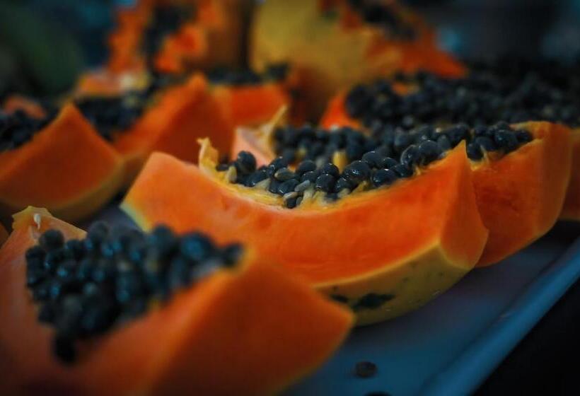 Ayla Praia Hotel Centro Porto Segur