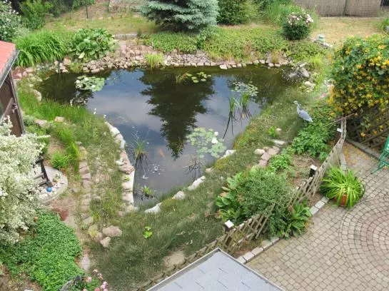 酒店 Deutsches Haus