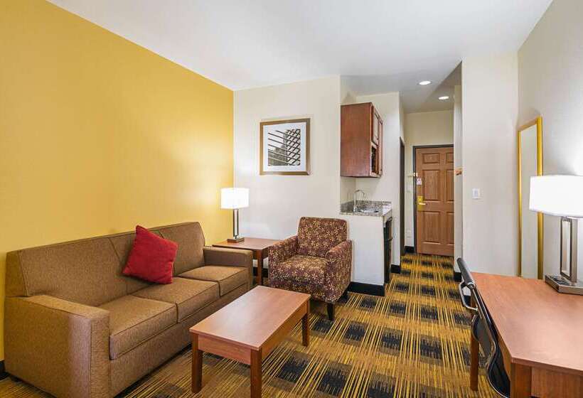 Hotel Quality Inn & Suites