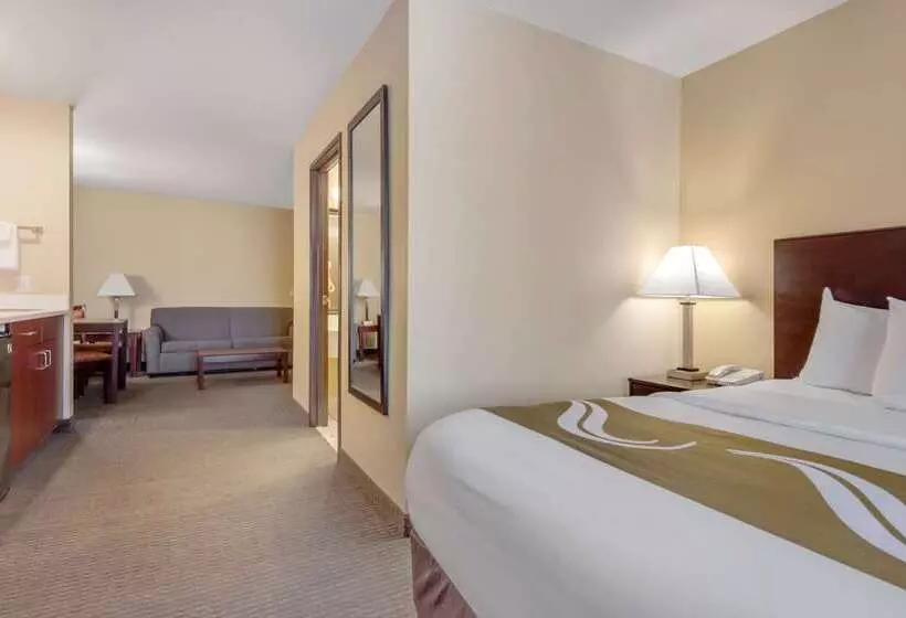 فندق Quality Inn & Suites