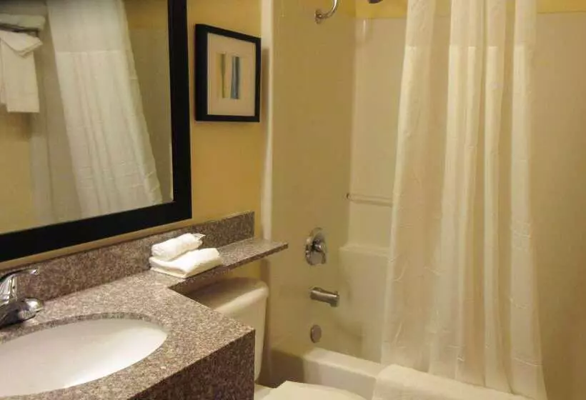 فندق Quality Inn & Suites Near Nas Fallon