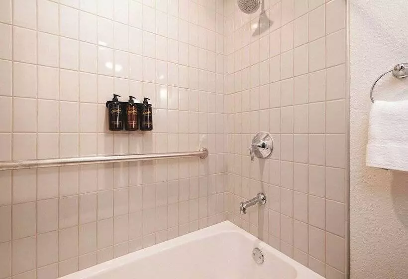 酒店 The Ozarker Lodge