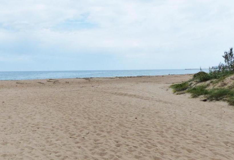 Apartamentos Royal Playa