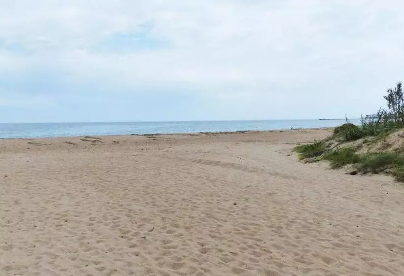 Apartamentos Royal Playa