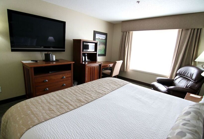 هتل C'mon Inn & Suites Fargo