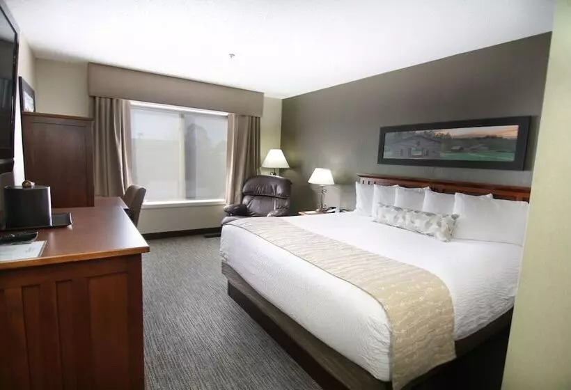 هتل C'mon Inn & Suites Fargo