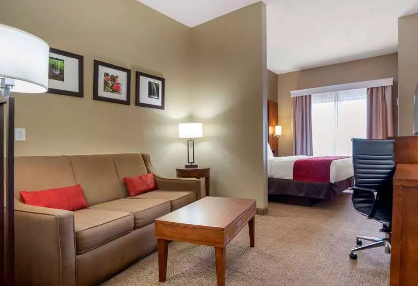 فندق Comfort Suites Oxford I 20 Exit 188