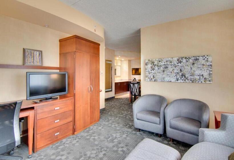 ホテル Courtyard Rochester Mayo Clinic Area/saint Marys