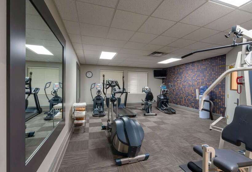 فندق La Quinta By Wyndham Rifle