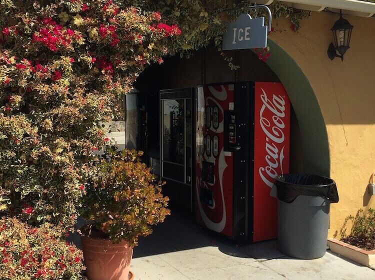 호텔 Oasis Inn And Suites