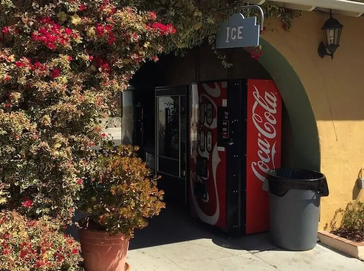 酒店 Oasis Inn And Suites