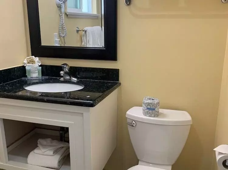 酒店 Oasis Inn And Suites