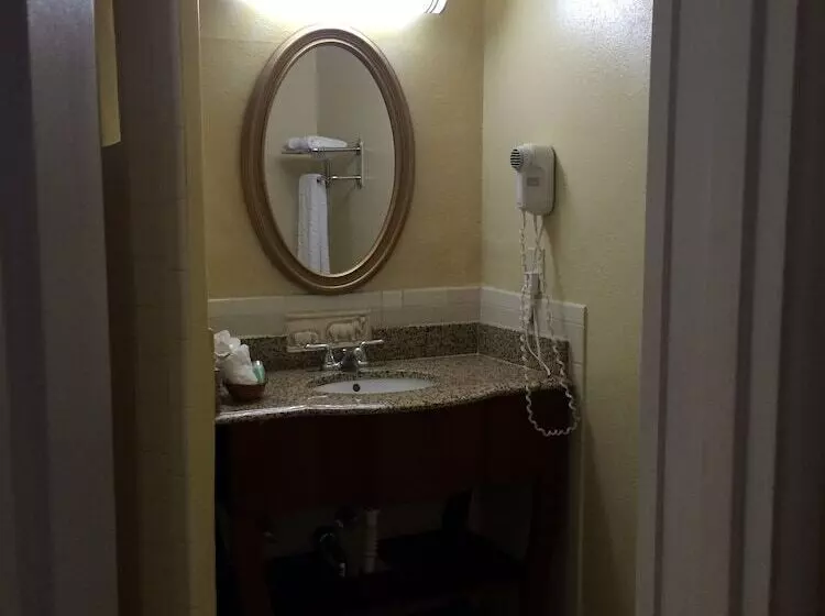 酒店 Oasis Inn And Suites