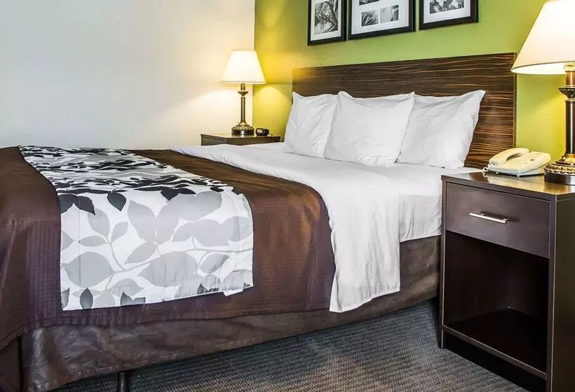 酒店 Sleep Inn & Suites