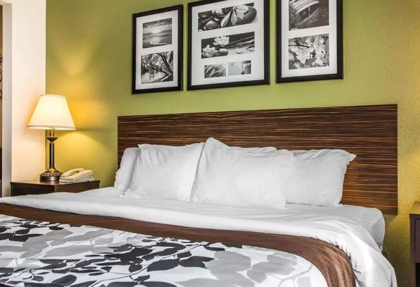 酒店 Sleep Inn & Suites