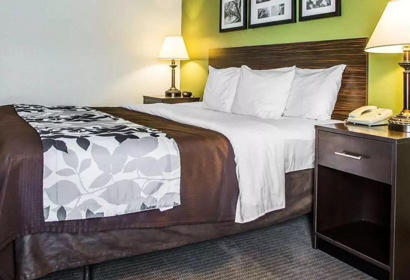 酒店 Sleep Inn & Suites