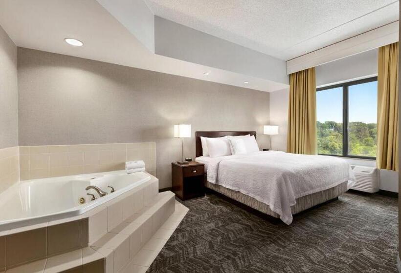 فندق Springhill Suites Dulles Airport