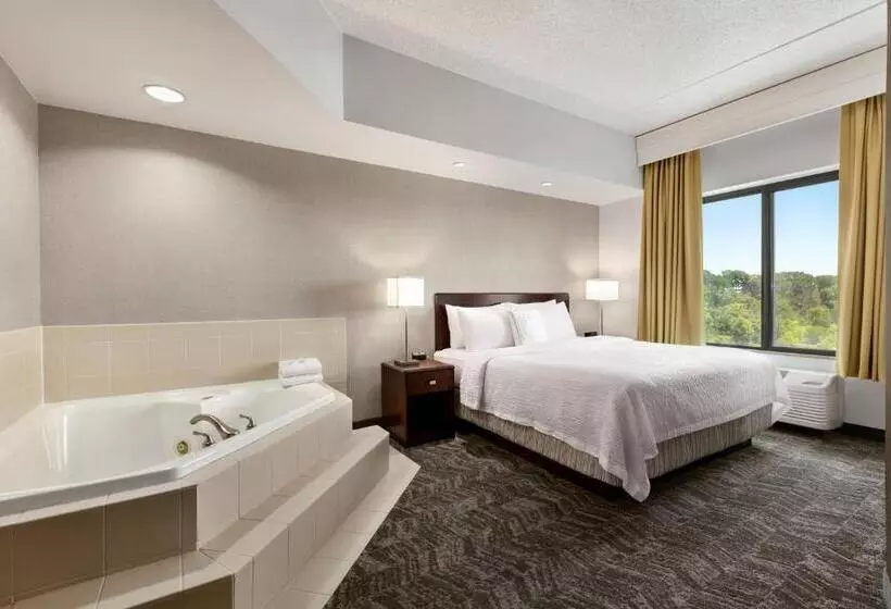 فندق Springhill Suites Dulles Airport