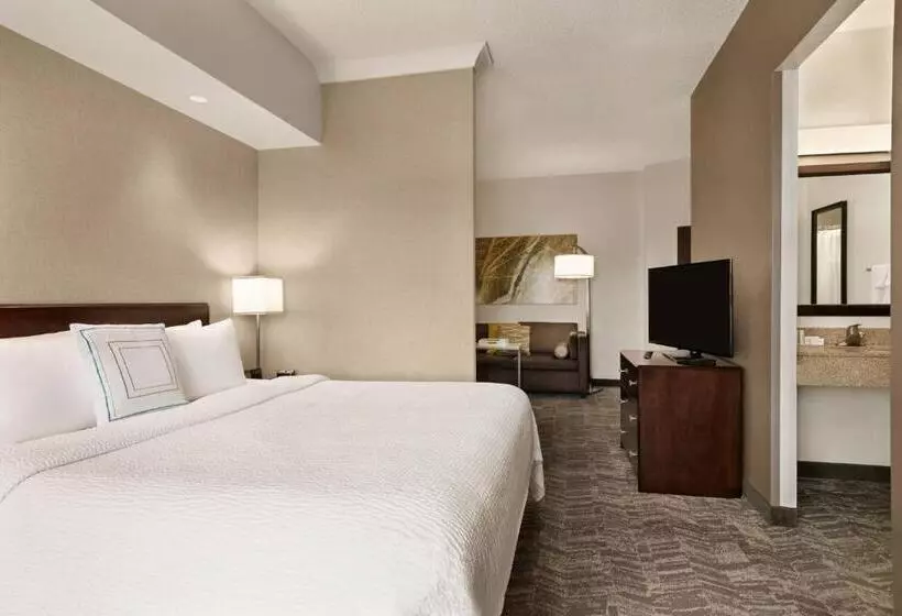 فندق Springhill Suites Dulles Airport
