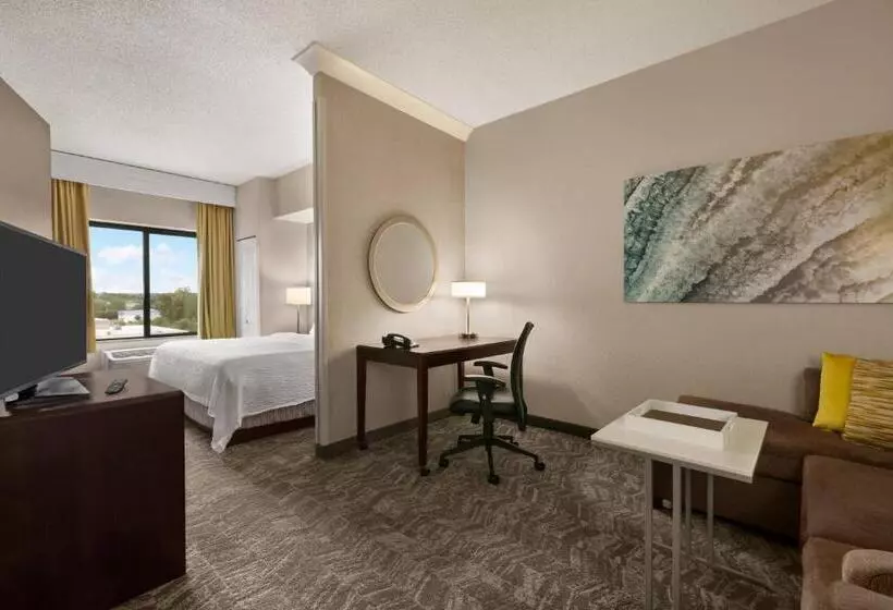 فندق Springhill Suites Dulles Airport