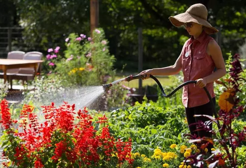 渡假胜地  The Lodge At Woodloch