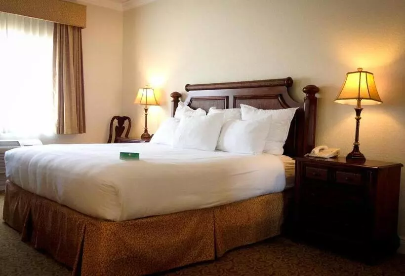 Amelia Hotel At The Beach