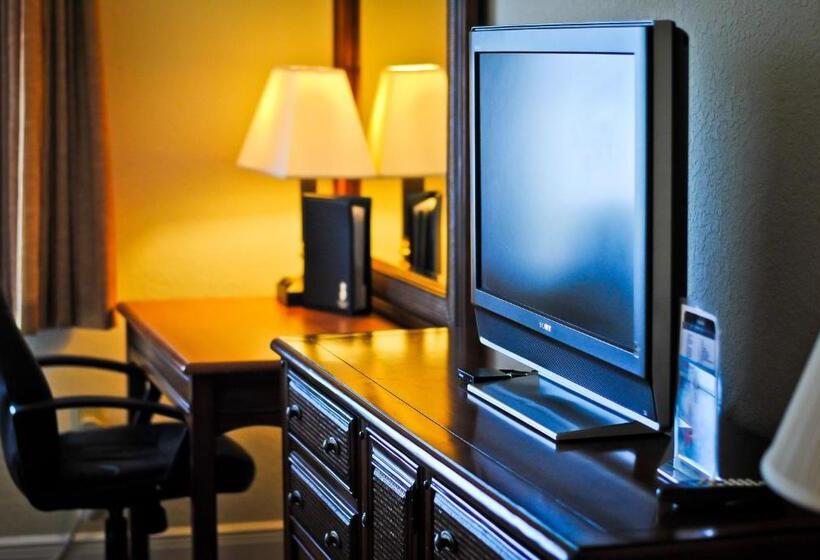 Amelia Hotel At The Beach