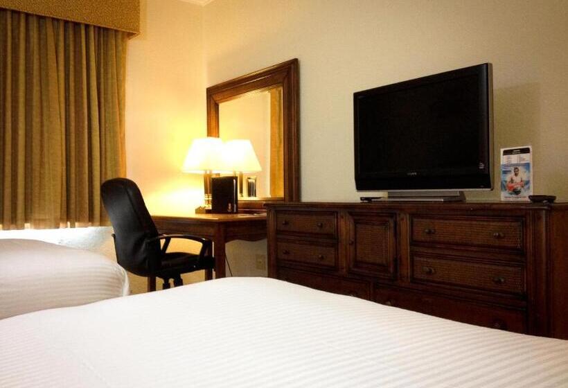 Amelia Hotel At The Beach