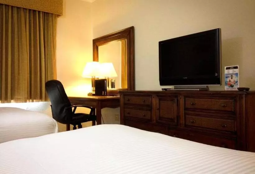 Amelia Hotel At The Beach