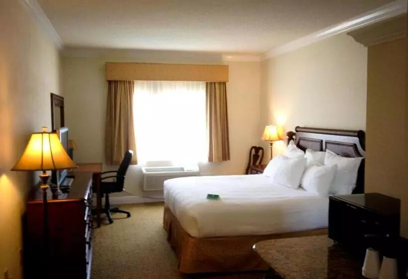 Amelia Hotel At The Beach