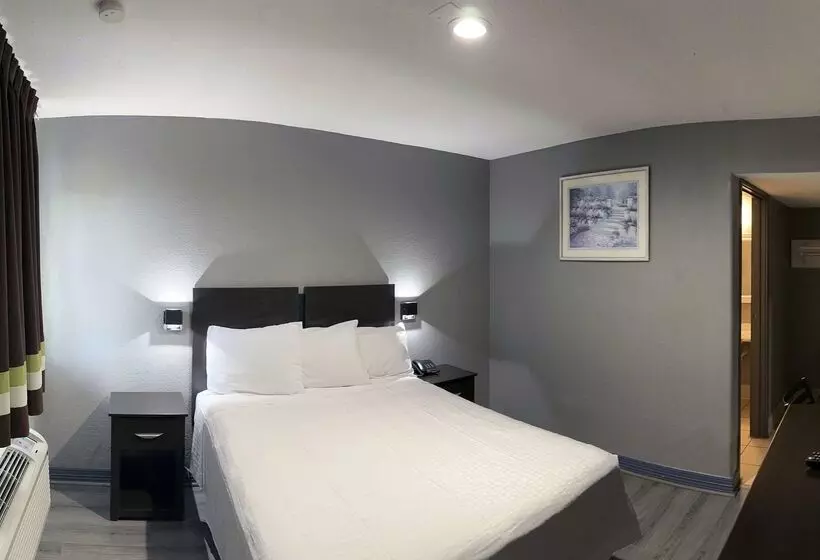 בית מלון כפרי Americas Best Value Inn And Suites Groves