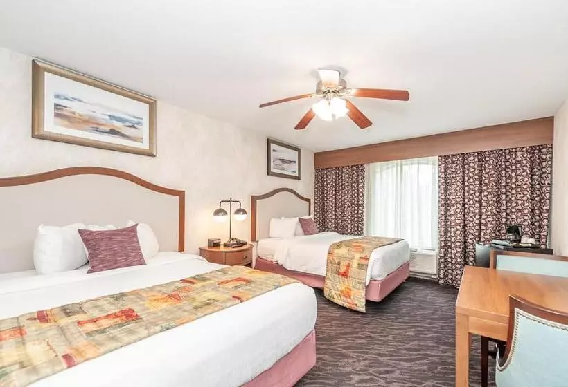 Bellissimo Hotel, Trademark By Wyndham Near Foxwoods Casino