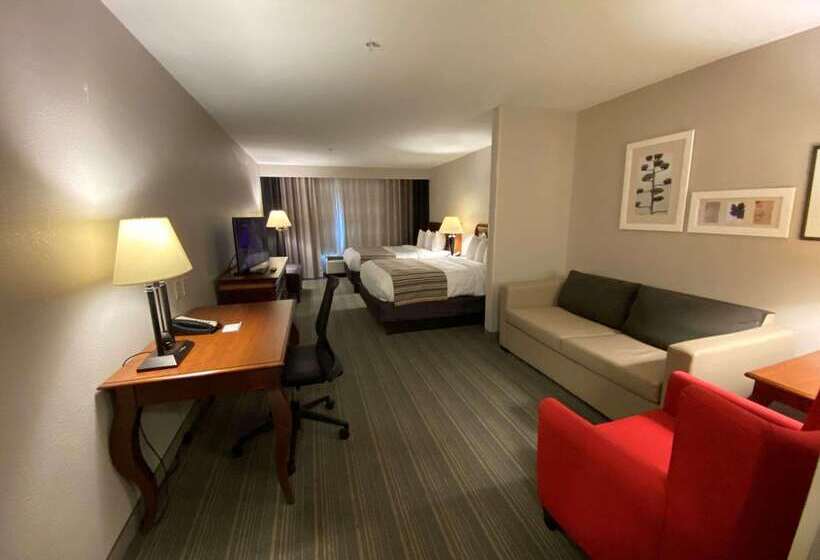 בית מלון כפרי Country Inn & Suites By Radisson, Athens, Ga