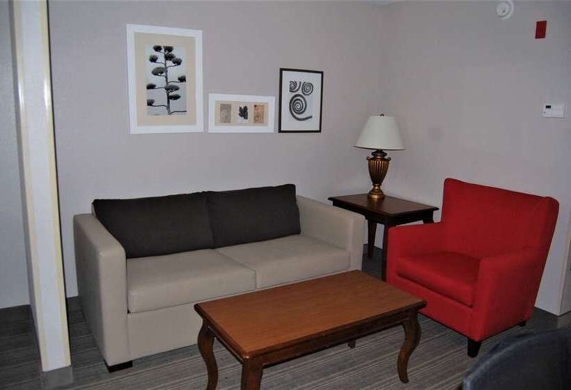 בית מלון כפרי Country Inn & Suites By Radisson, Athens, Ga